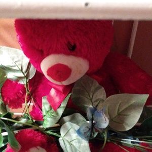 Meet your Posher, Regina